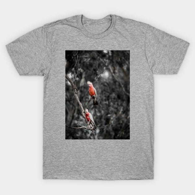 Galah_9001A T-Shirt by seadogprints